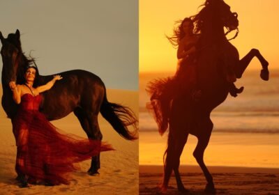 Horse Riding Photoshoot