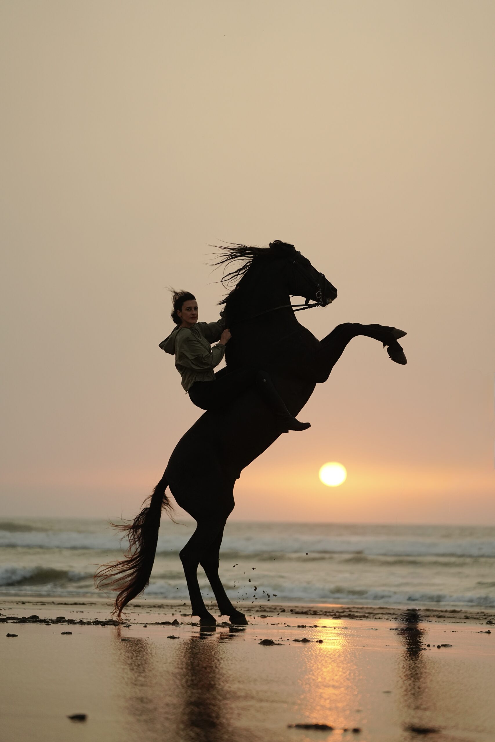 Professional horse photoshoot in Essaouira