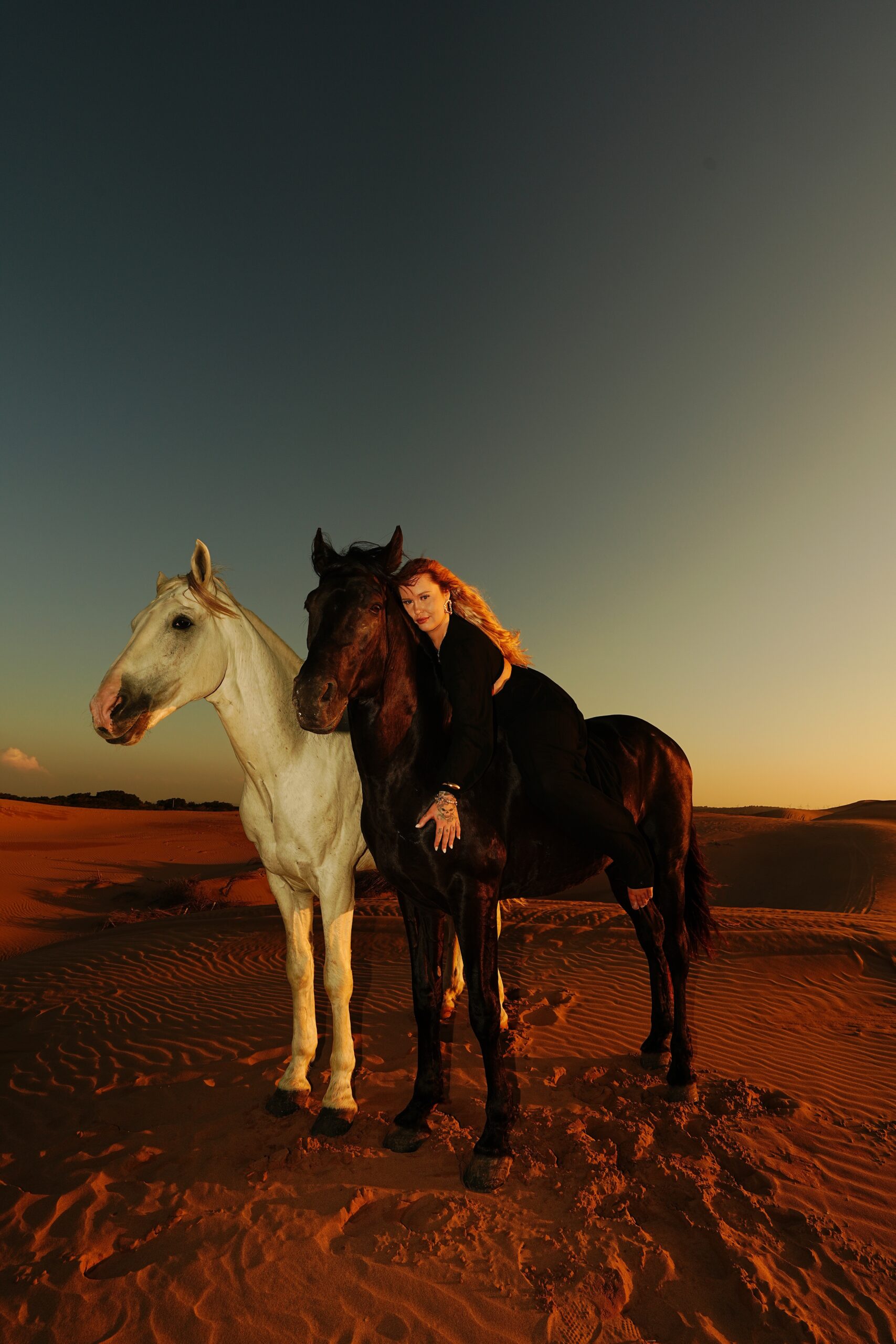 Golden landscape in Essaouira