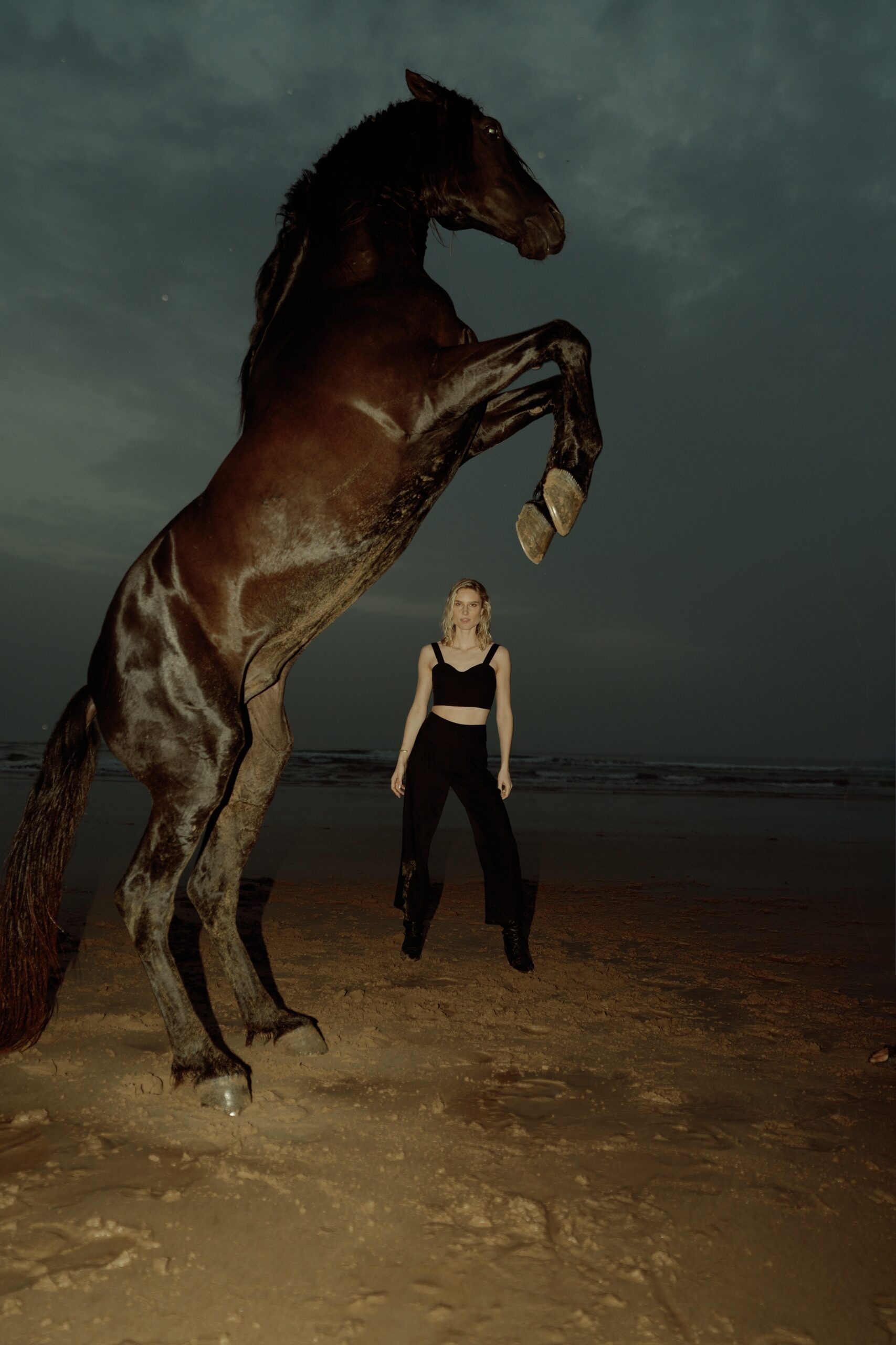 Professional horse photoshoot in Essaouira