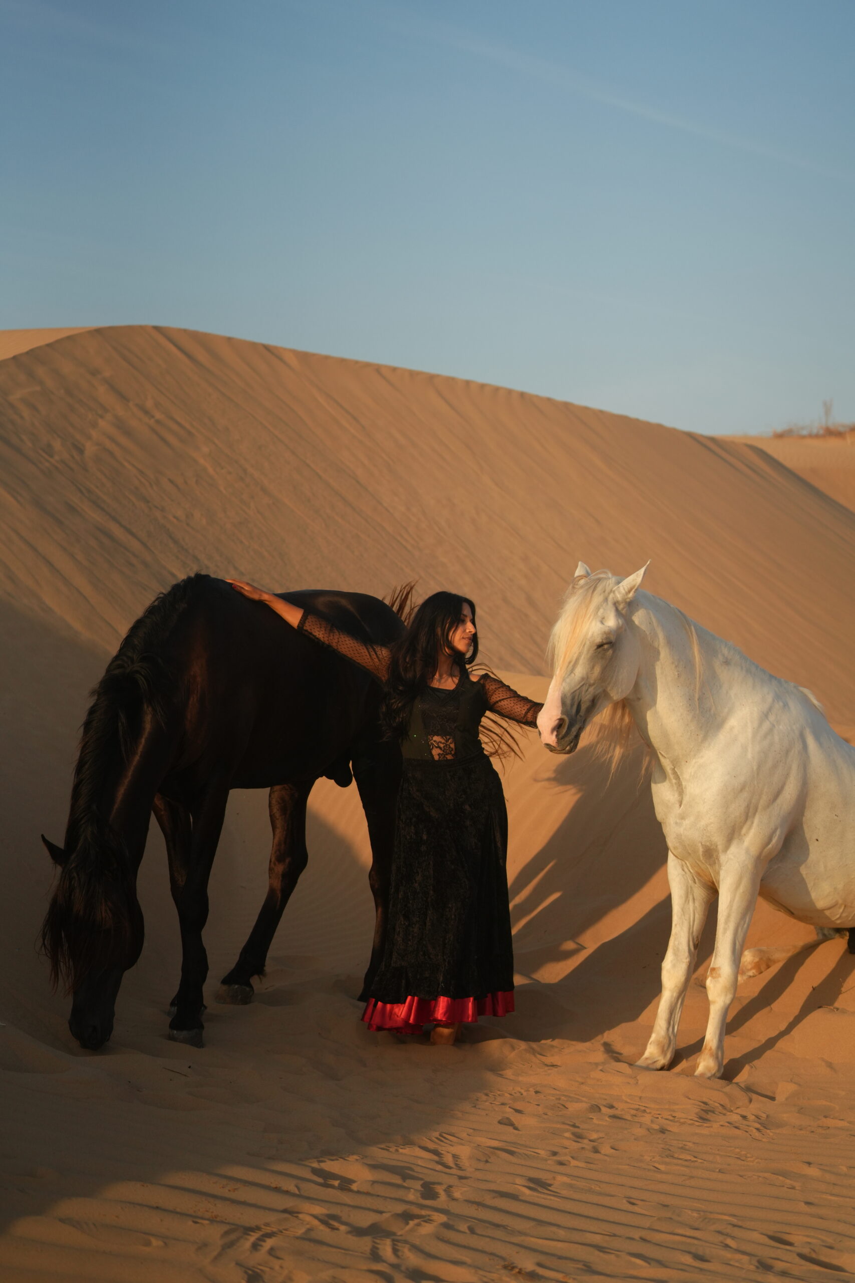 Professional horse photography in Essaouira