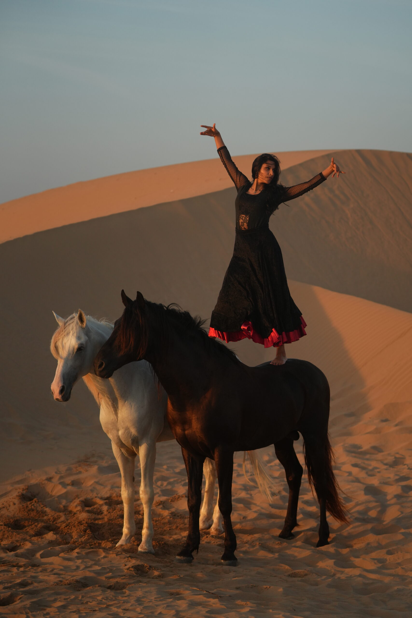 Luxury horse holiday in Essaouira