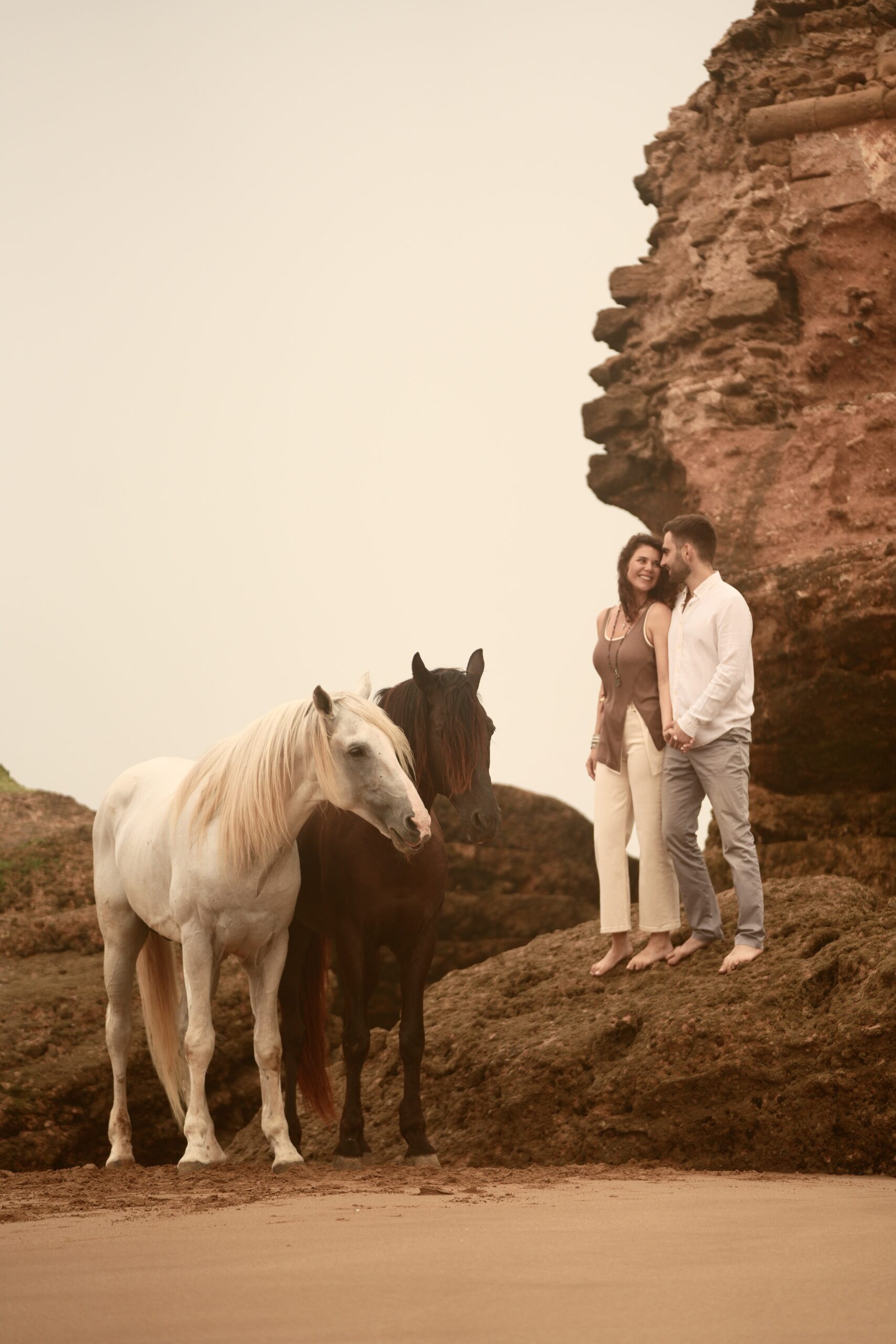 Cinematic horse portrait