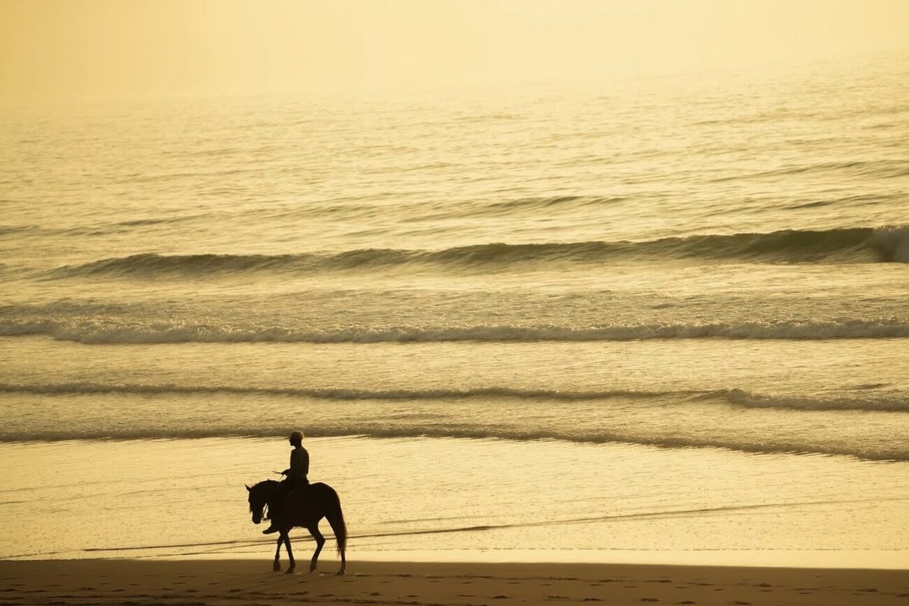 Atlantic landscapes in Essaouira