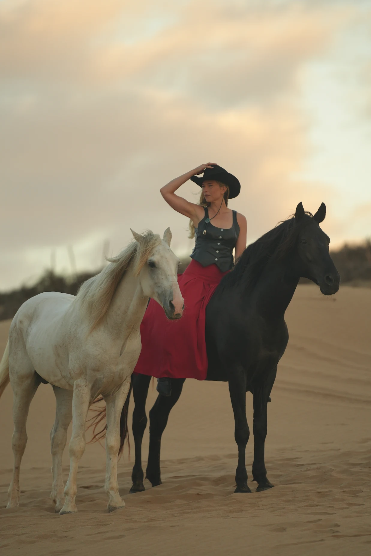 Horse photoshoot in Essaouira