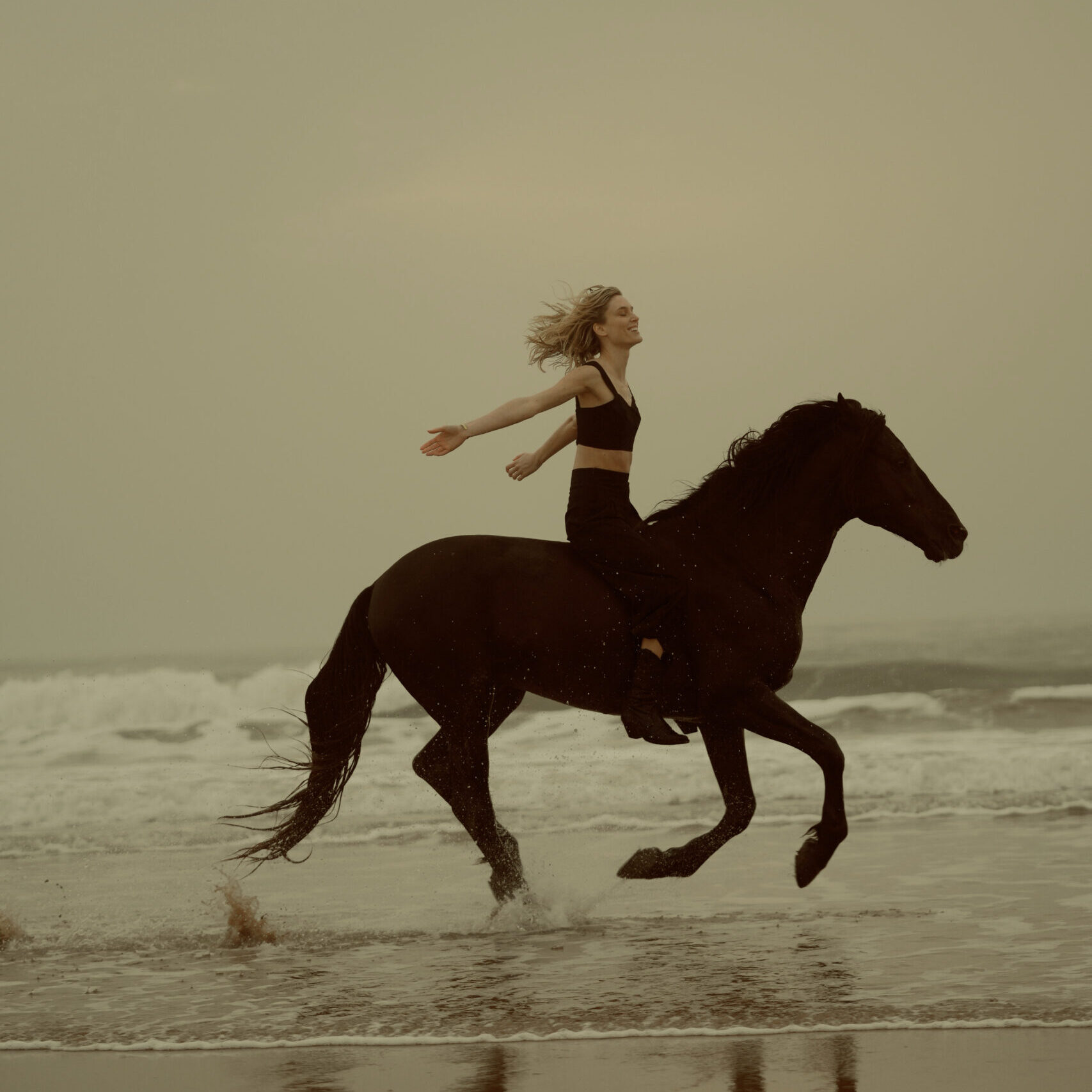 Professional horse photoshoot in Essaouira